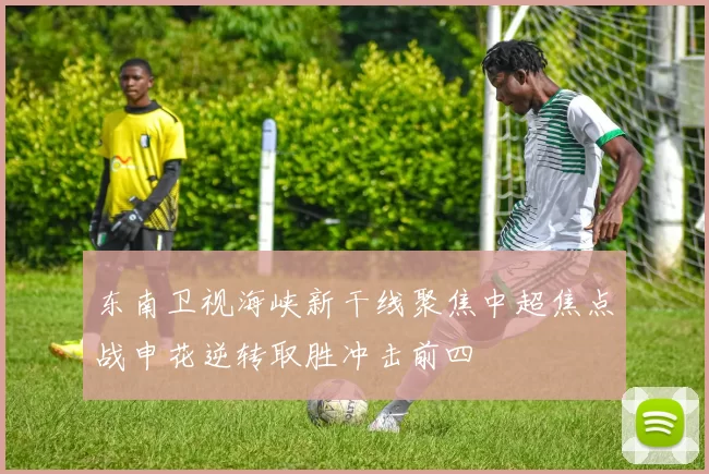东南卫视海峡新干线聚焦中超焦点战申花逆转取胜冲击前四