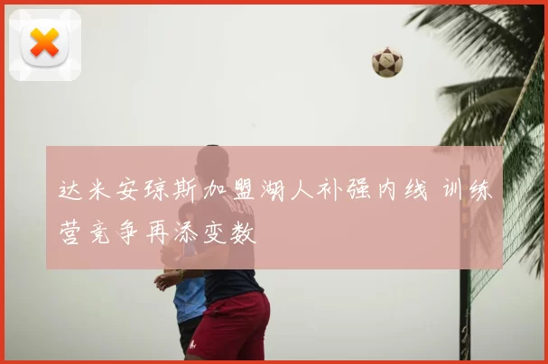 达米安琼斯加盟湖人补强内线 训练营竞争再添变数