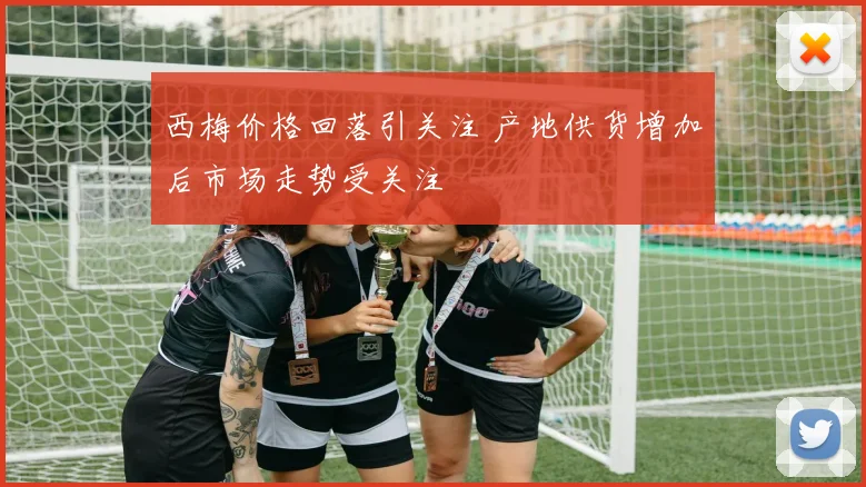 西梅价格回落引关注 产地供货增加后市场走势受关注